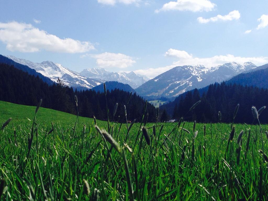 융홀츠 Bergquell Tirol 아파트 외부 사진